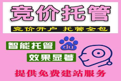 网络推广中的竞价广告：成功案例解析